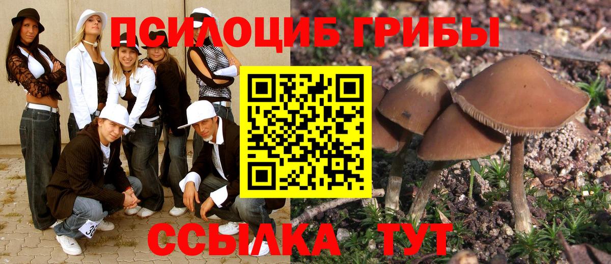 Псилоцибиновые грибы Cubensis Феодосия
