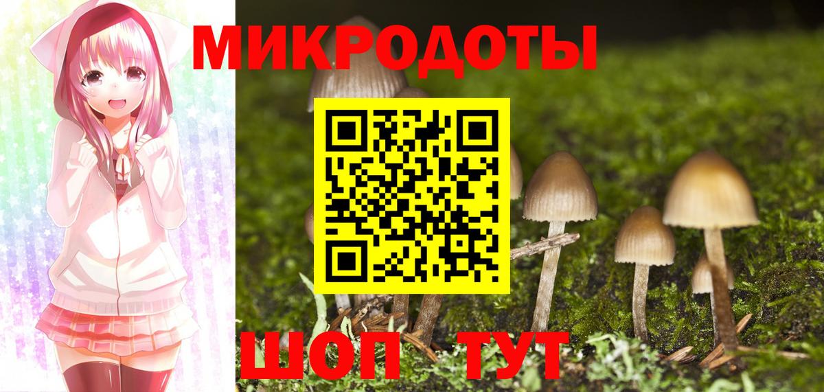 Галлюциногенные грибы Cubensis  Вход с VPN  Феодосия 